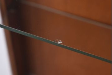 アンティーク家具　イギリスアンティーク　オーク材　植物モチーフの意匠が魅力のショーケース(ガラスケース、キャビネット)