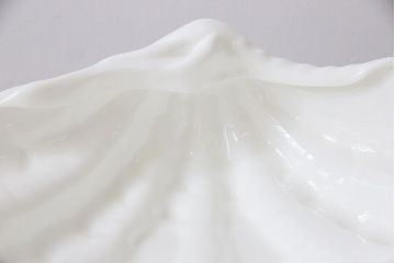 アンティーク雑貨　中古　イギリス Wedgwood(ウェッジウッド)　NAUTILUS(ノーチラス)　シェルプレート・大(ディッシュ)(2)