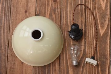 オールドノリタケ・則武(日陶)　秋草　照らすと透ける模様が魅力の電笠(天井照明、シェード)