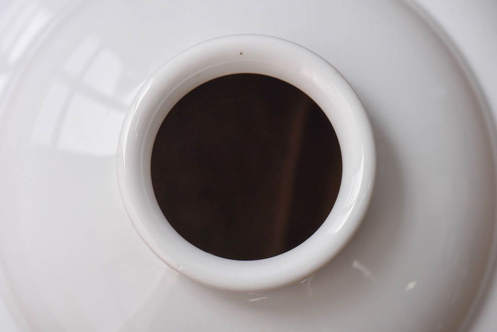 オールドノリタケ・則武(日陶)　ローズ(薔薇)　鮮やかな絵柄が目を引く電笠(天井照明、シェード)