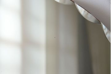 アンティーク雑貨　海外ビンテージ　動物モチーフのカットが愛らしいウォールミラー(鏡)