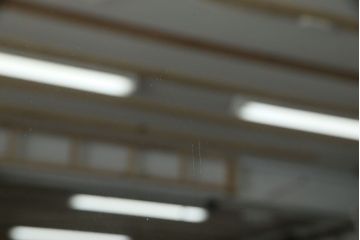 アンティーク雑貨　海外ビンテージ　動物モチーフのカットが愛らしいウォールミラー(鏡)