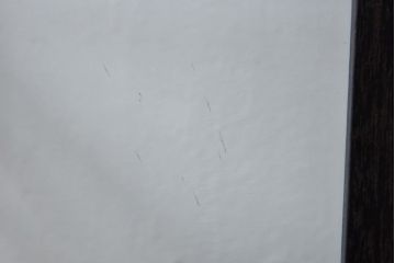 アンティーク家具　和製アンティーク　ナラ材　大正ロマン香る縦型ガラスケース(コレクションラック、陳列棚)