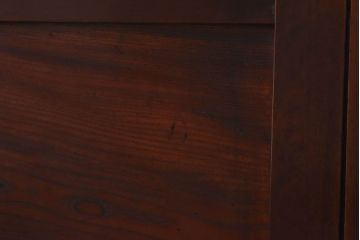 和製アンティーク　味わいのある木味が魅力の大判ガラス戸2枚セット(引き戸、建具)