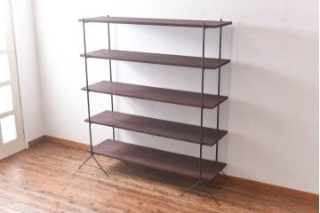 ラフジュ工房オリジナル 空間になじむ細身のアイアンラック【中】(陳列棚、飾り棚)