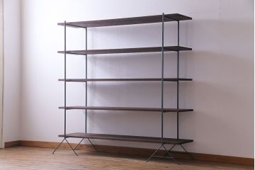 ラフジュ工房オリジナル 細身のペイントアイアンラック【大】(陳列棚、飾り棚)(1)