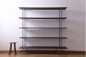 ラフジュ工房オリジナル 細身のペイントアイアンラック【大】(陳列棚、飾り棚)(1)