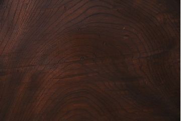 明治期　ケヤキ材一枚板　綺麗な漆塗りのアンティーク板戸4枚セット(窓)