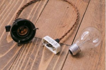 オールドノリタケ・則武(日陶)　柿の図　照らすと透ける模様が魅力の電笠(天井照明、シェード)