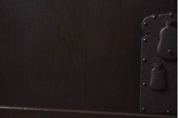 和製アンティーク　総ケヤキ材　重厚感ある佇まいが魅力の蔵戸(建具、引き戸、玄関戸)