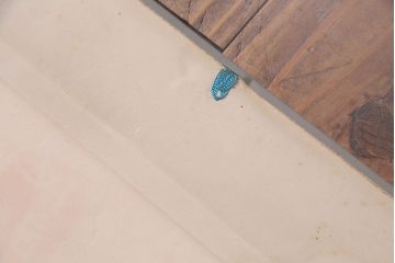 アンティーク雑貨　昭和30年代当時物　「養命酒」　昭和レトロなポスター(広告、ディスプレイ)