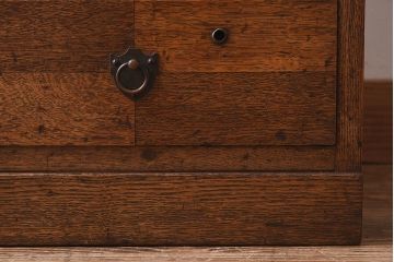 アンティーク家具　大正ロマン　当時物色ガラス　モダンな扉のデザインが目を惹く本箱(収納棚、キャビネット)