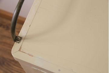 ペイント家具　シャビーでレトロなデンタルキャビネット(収納棚)
