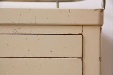 ペイント家具　シャビーでレトロなデンタルキャビネット(収納棚)