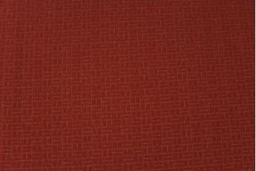 【E様ご成約品】G-PLAN(ジープラン)　Fresco(フレスコ)　赤いファブリックが可愛いサーキュラーチェア(ダイニングチェア、椅子)2脚セット