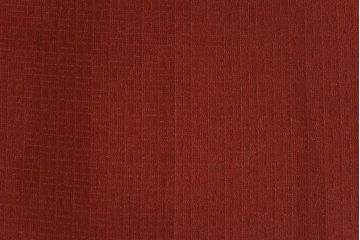 【E様ご成約品】G-PLAN(ジープラン)　Fresco(フレスコ)　赤いファブリックが可愛いサーキュラーチェア(ダイニングチェア、椅子)(1)