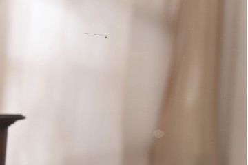 アンティーク家具　イギリスアンティーク　ウォールナット　エレガントな佇まいが素敵なドレッシングキャビネット