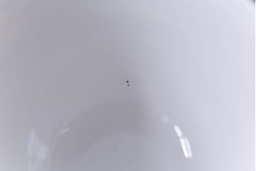 オールドノリタケ(則武・日陶)　ヤジロベー印　クラシックなカップ&ソーサー2客セット(洋食器)(1)