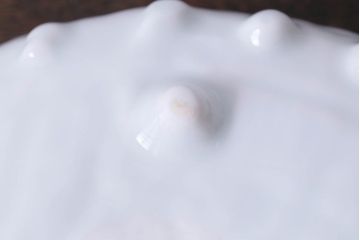 十二代　酒井田柿右衛門　濁手　錦海老画鮑形皿　共箱(和食器)