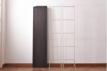 ラフジュ工房オリジナル　ベージュ　ペイント薄型アイアンラック【大】(陳列棚、飾り棚)