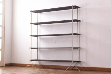 ラフジュ工房オリジナル　ベージュ　ペイント薄型アイアンラック【中】(陳列棚、飾り棚)