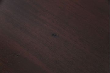 アンティーク家具　フランスアンティーク　マホガニー材　落ち着いた雰囲気が品のあるコンソールテーブル(サイドテーブル、飾り台)