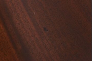 アンティーク家具　イギリスアンティーク　ウォールナット材　エレガントな半円形のコンソールテーブル(サイドテーブル、飾り台)