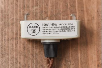 ヨーロッパビンテージ　手描きの花柄が上品なガラスシェード(ペンダントライト、天井照明)