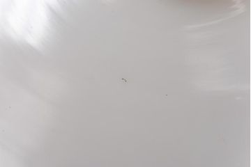 昔懐かしい白い平笠シェードの吊り下げ照明(天井照明、ペンダントライト)2個セット(1)