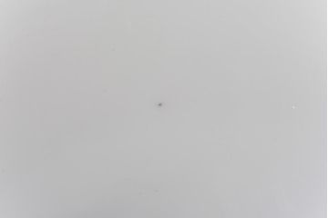 昭和期　素朴な味わいが魅力的な平笠シェード(天井照明、電笠)(1)