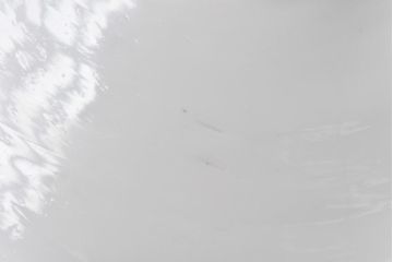 昭和期　素朴な味わいが魅力的な平笠シェード(天井照明、電笠)(2)