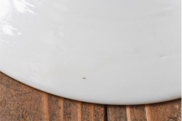 昭和期　素朴な味わいが魅力的な平笠シェード(天井照明、電笠)(2)