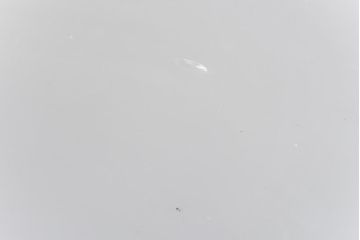 昭和期　素朴な味わいが魅力的な平笠シェード(天井照明、電笠)(3)