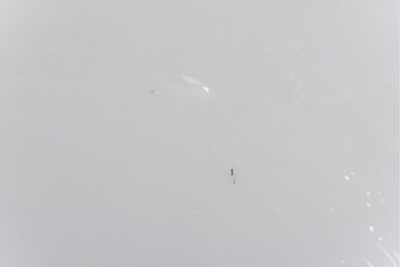 昭和期　素朴な味わいが魅力的な平笠シェード(天井照明、電笠)(3)