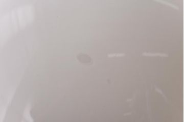 大正ロマン　激レア!ブラケットのデザインが魅力的な天井照明(ライト)