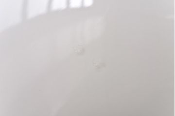 大正ロマン　激レア!ブラケットのデザインが魅力的な天井照明(ライト)