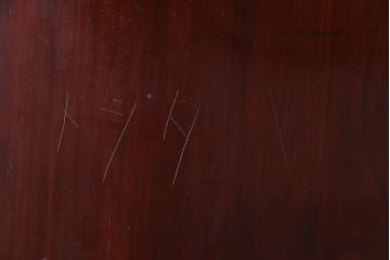 和製アンティーク　ヒノキ材　赤みがかった色合いが目を引く漆塗りの蔵戸(引き戸、建具、玄関戸)