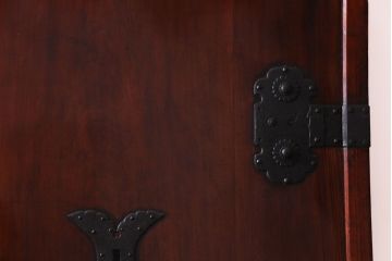 和製アンティーク　ヒノキ材　赤みがかった色合いが目を引く漆塗りの蔵戸(引き戸、建具、玄関戸)