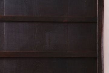 和製アンティーク　ヒノキ材　赤みがかった色合いが目を引く漆塗りの蔵戸(引き戸、建具、玄関戸)