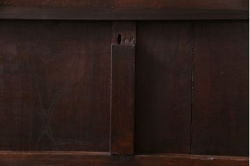 和製アンティーク　ヒノキ材　赤みがかった色合いが目を引く漆塗りの蔵戸(引き戸、建具、玄関戸)