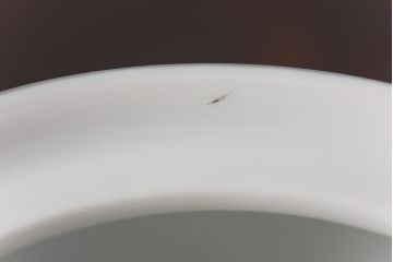 アンティーク雑貨　昭和中期　日本陶器・ノリタケ(則武)　洋風なデザインがおしゃれな急須・湯飲み5客セット