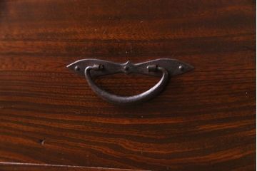 アンティーク家具　和製アンティーク　漆塗り　結霜ガラス入り　杢目が目を引く前面ケヤキ材の戸棚(収納棚、キャビネット)