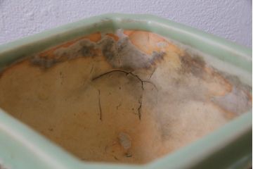 アンティーク雑貨　昭和レトロ　モダンな模様が目を引く青磁の植木鉢