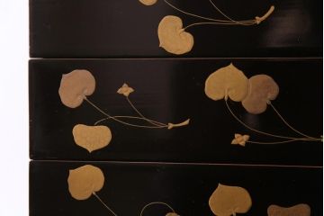 和製アンティーク　丸に二本杉紋　二葉葵　共箱付き重箱(和食器、漆器)