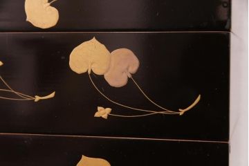 和製アンティーク　丸に二本杉紋　二葉葵　共箱付き重箱(和食器、漆器)
