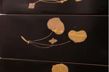 和製アンティーク　丸に二本杉紋　二葉葵　共箱付き重箱(和食器、漆器)