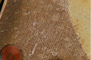 美品　昭和期　笠間焼　中野晃嗣　共箱付き梅文銘々皿(小皿、豆皿、和食器)5枚セット