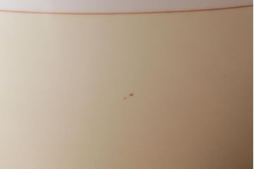 アンティーク雑貨　中古　オールドノリタケ(則武・日陶)　月桂樹印　菊牡丹文がレトロな火鉢(鉢カバー、手あぶり)(2)