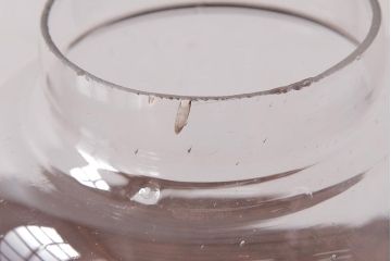 アンティーク雑貨　昭和レトロ　ノスタルジックな雰囲気漂う丸型ガラスビン(ガラス瓶、キャニスター)(1)