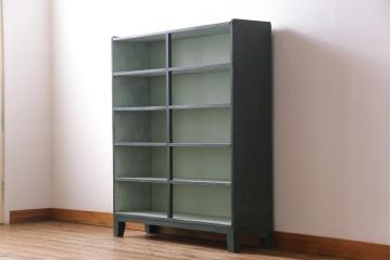ペイント家具　5段　個性的なバイカラーがおしゃれな薄型オープンラック(飾り棚、収納棚)